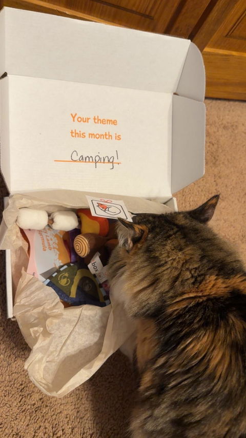 catbox