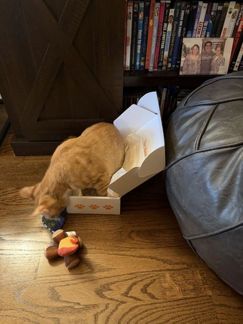 catbox