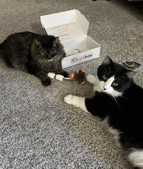 catbox