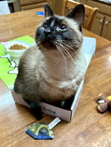 Cat box love review photo