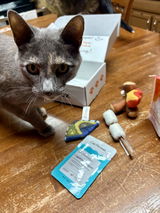Cat box love review photo