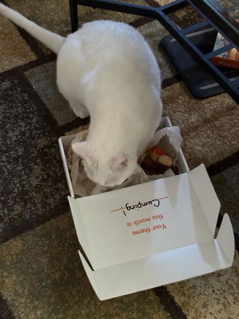 catbox