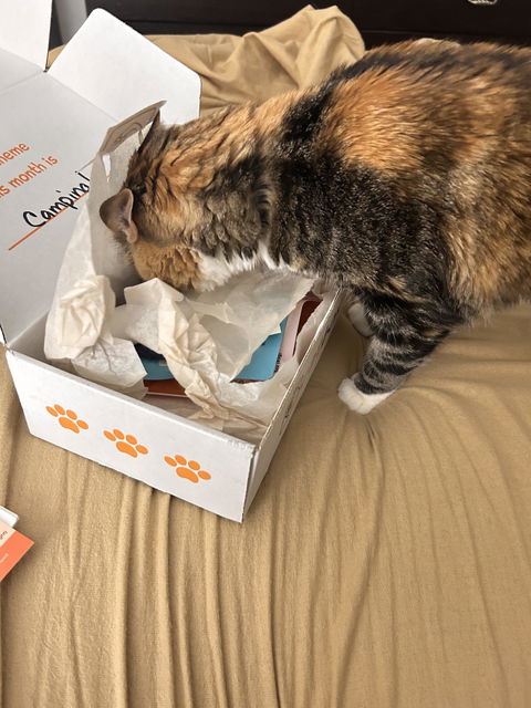 catbox
