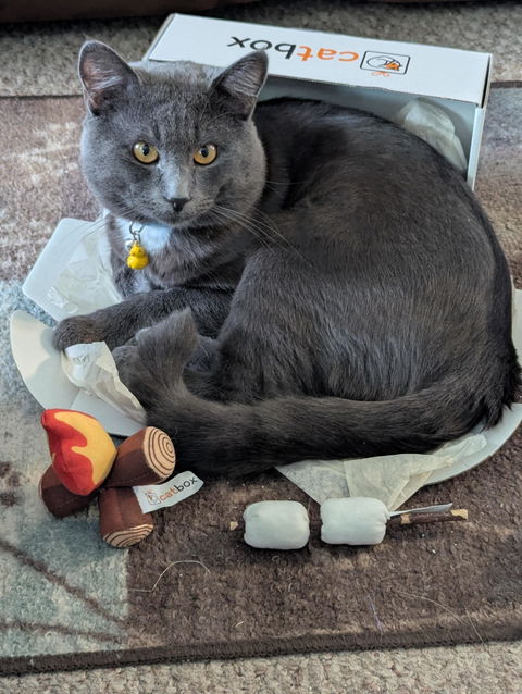 catbox