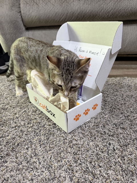 catbox