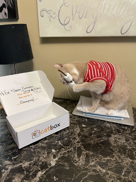 catbox