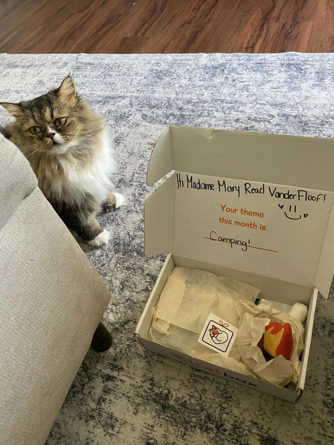 catbox