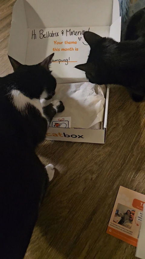 catbox