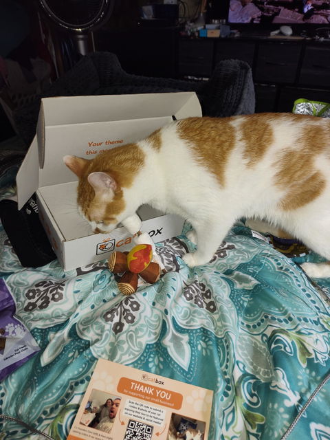 catbox