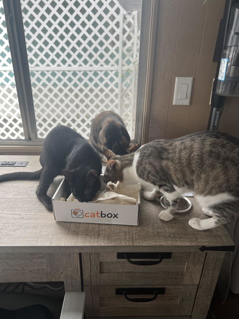 catbox