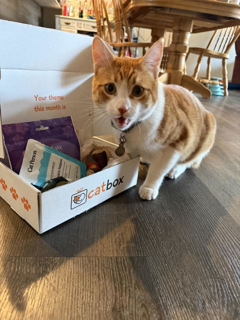 catbox