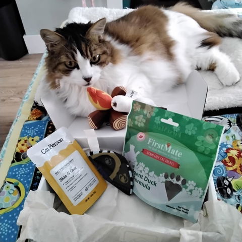 catbox