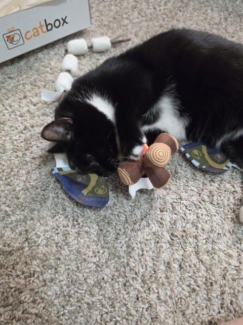 catbox