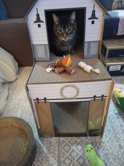 catbox