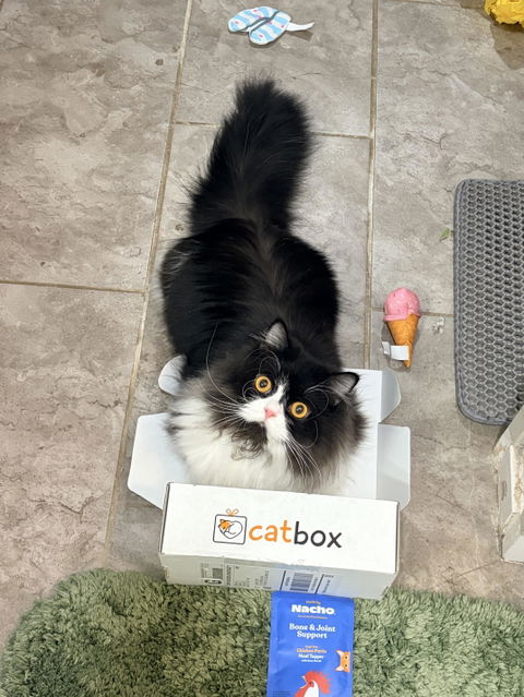 catbox