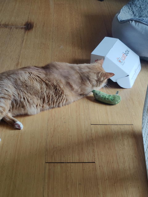 catbox