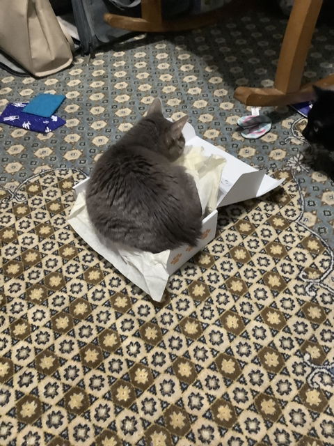 catbox