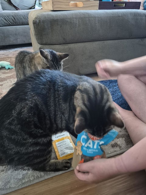 catbox