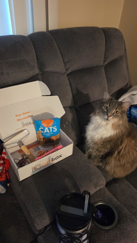 catbox