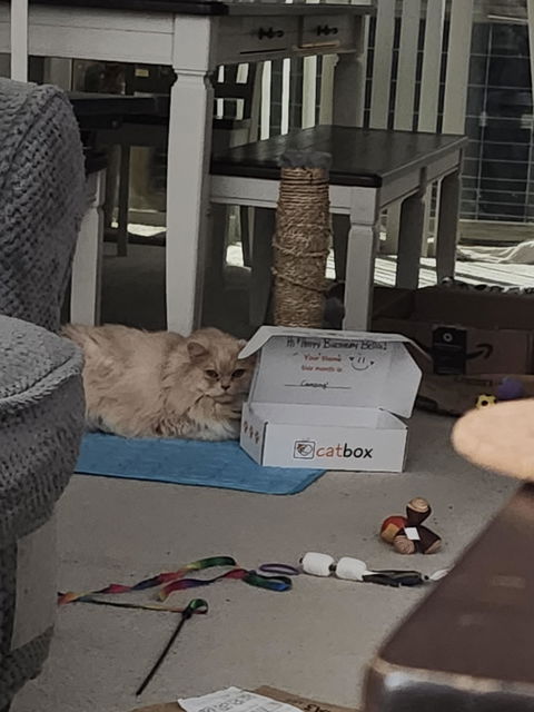 catbox