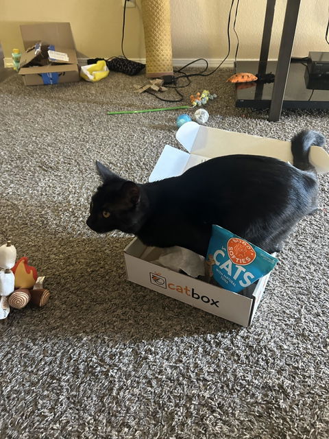 catbox