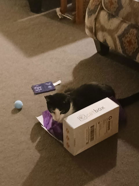 catbox