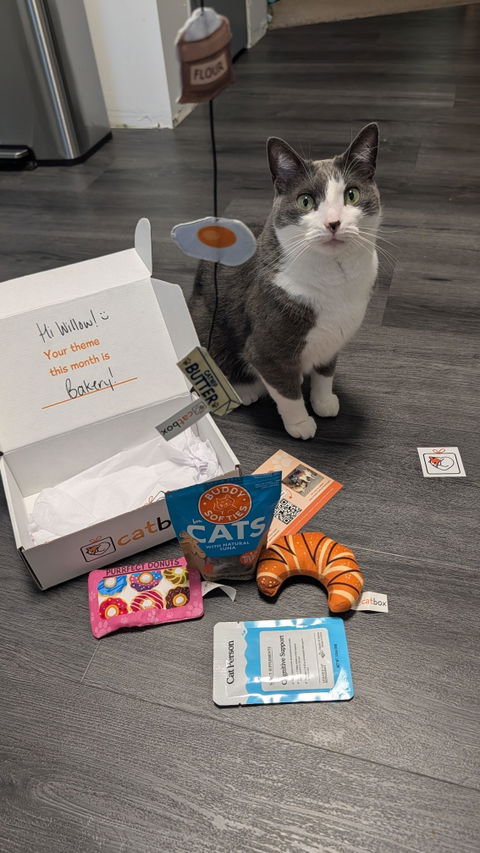 catbox