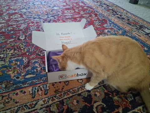 catbox