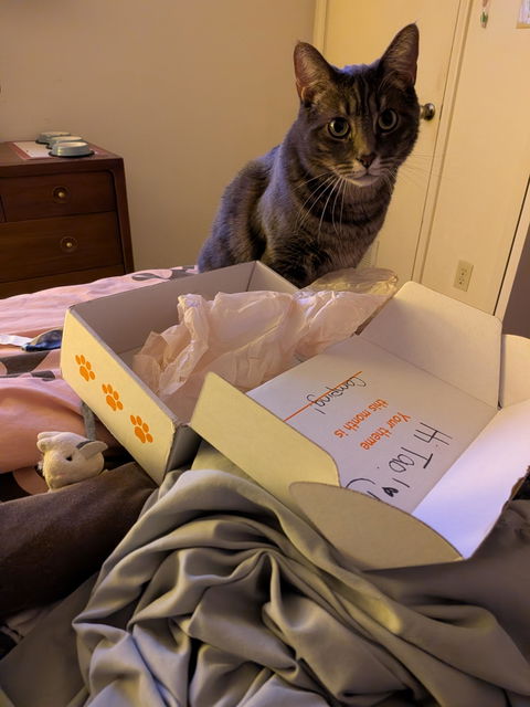 catbox
