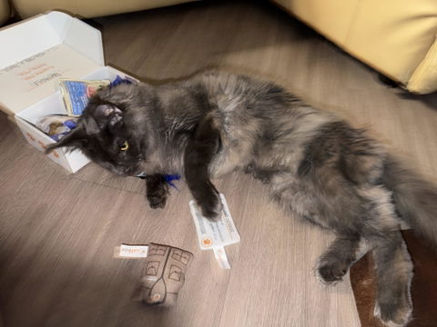 catbox