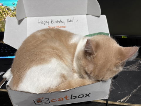 catbox