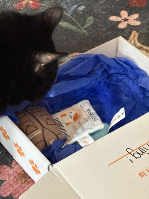 catbox