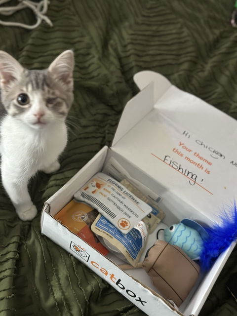 catbox