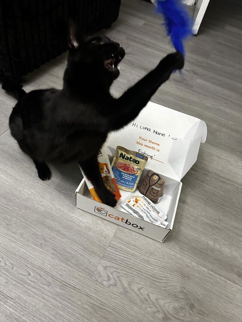 catbox