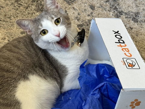 catbox