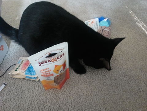 catbox