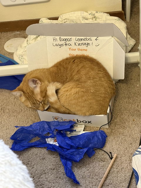 catbox