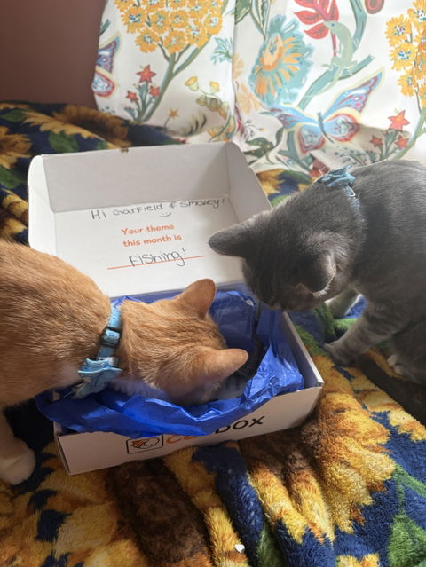 catbox