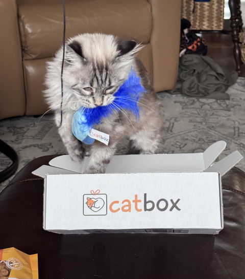 catbox