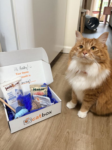 CatBox