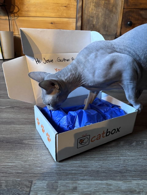catbox