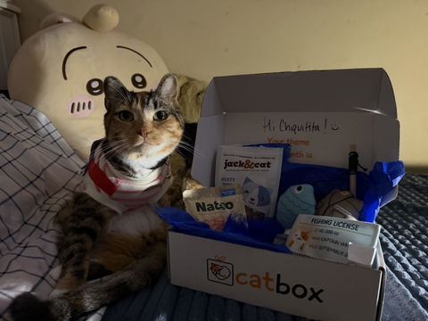catbox
