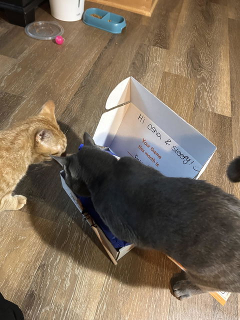 catbox