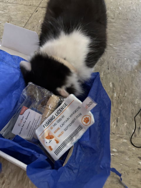 catbox