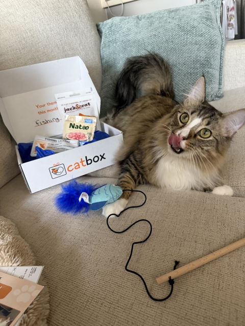 catbox