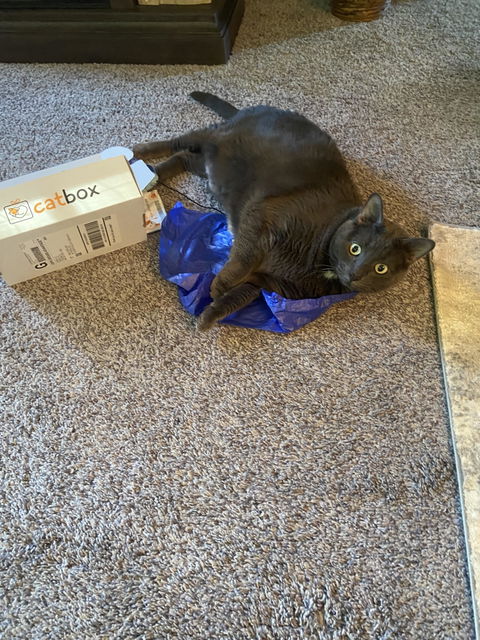 catbox