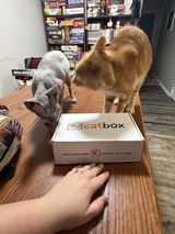 Catlyn Slusser review photo