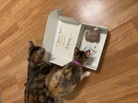 catbox