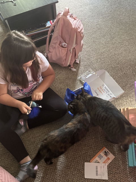 catbox