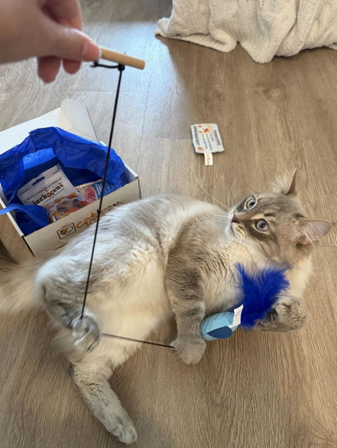 catbox